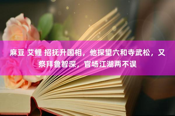 麻豆 艾鲤 招抚升国相，他探望六和寺武松，又祭拜鲁智深，官场江湖两不误