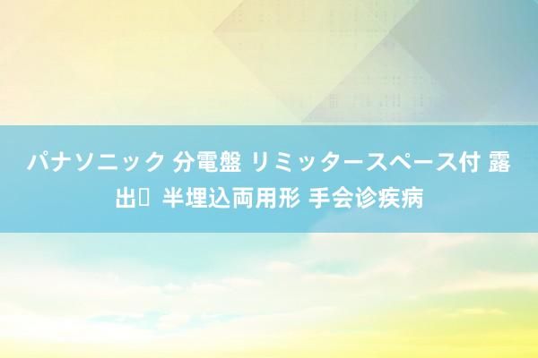 パナソニック 分電盤 リミッタースペース付 露出・半埋込両用形 手会诊疾病