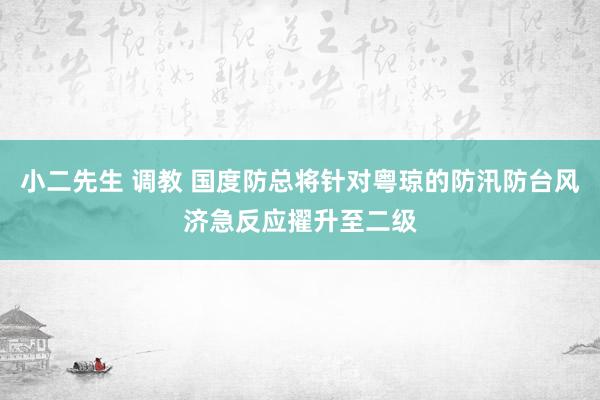 小二先生 调教 国度防总将针对粤琼的防汛防台风济急反应擢升至二级