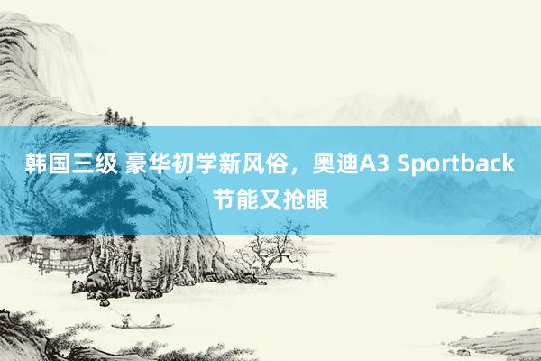 韩国三级 豪华初学新风俗，奥迪A3 Sportback节能又抢眼