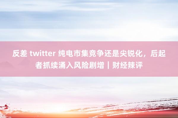 反差 twitter 纯电市集竞争还是尖锐化，后起者抓续涌入风险剧增｜财经辣评