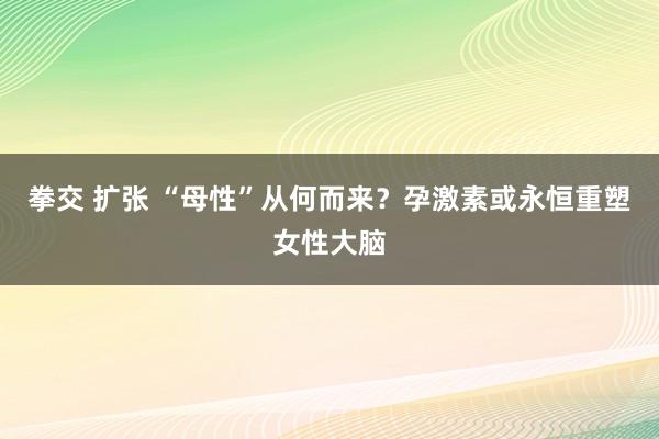 拳交 扩张 “母性”从何而来？孕激素或永恒重塑女性大脑