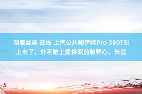 制服丝袜 在线 上汽公共帕萨特Pro 380TSI上市了，外不雅上提供双前脸野心，长宽