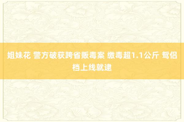 姐妹花 警方破获跨省贩毒案 缴毒超1.1公斤 鸳侣档上线就逮