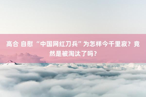 高合 自慰 “中国网红刀兵”为怎样今千里寂？竟然是被淘汰了吗？