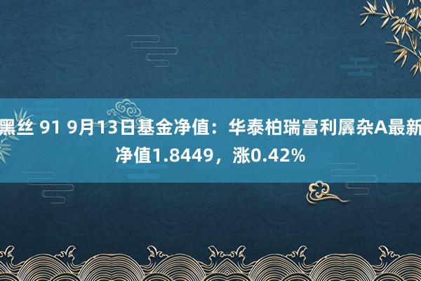 黑丝 91 9月13日基金净值：华泰柏瑞富利羼杂A最新净值1.8449，涨0.42%