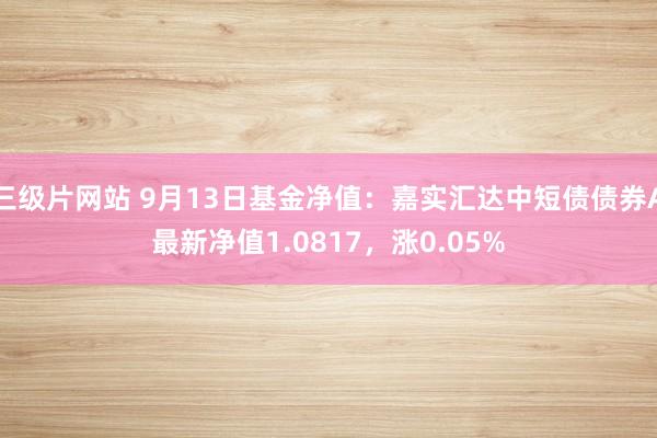 三级片网站 9月13日基金净值：嘉实汇达中短债债券A最新净值1.0817，涨0.05%