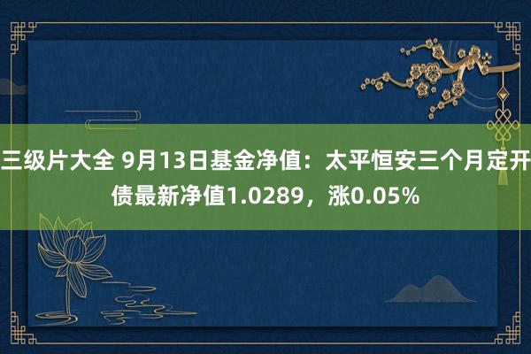 三级片大全 9月13日基金净值：太平恒安三个月定开债最新净值1.0289，涨0.05%