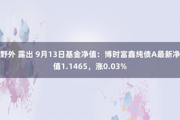 野外 露出 9月13日基金净值：博时富鑫纯债A最新净值1.1465，涨0.03%