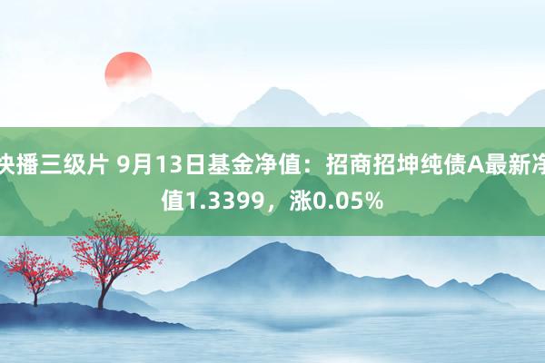 快播三级片 9月13日基金净值：招商招坤纯债A最新净值1.3399，涨0.05%