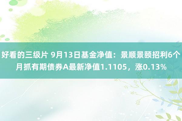 好看的三级片 9月13日基金净值：景顺景颐招利6个月抓有期债券A最新净值1.1105，涨0.13%