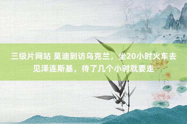 三级片网站 莫迪到访乌克兰，坐20小时火车去见泽连斯基，待了几个小时就要走