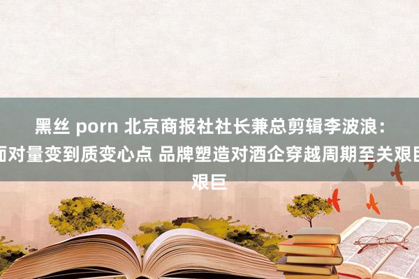 黑丝 porn 北京商报社社长兼总剪辑李波浪：面对量变到质变心点 品牌塑造对酒企穿越周期至关艰巨