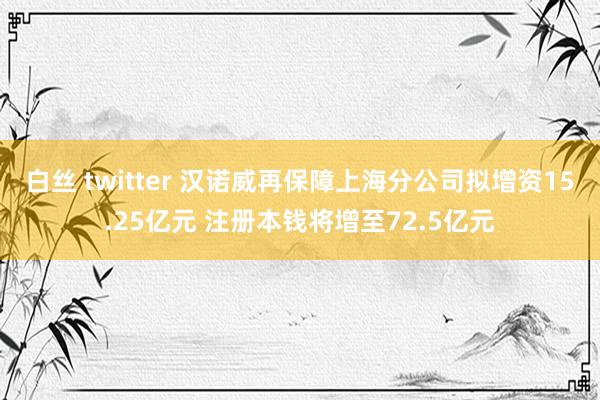 白丝 twitter 汉诺威再保障上海分公司拟增资15.25亿元 注册本钱将增至72.5亿元