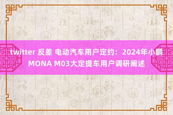 twitter 反差 电动汽车用户定约：2024年小鹏MONA M03大定提车用户调研阐述