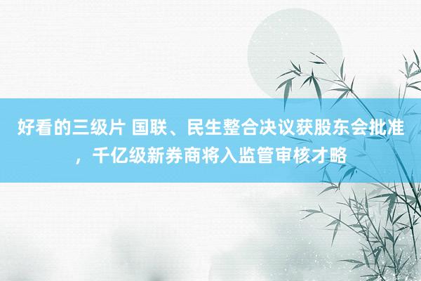 好看的三级片 国联、民生整合决议获股东会批准，千亿级新券商将入监管审核才略