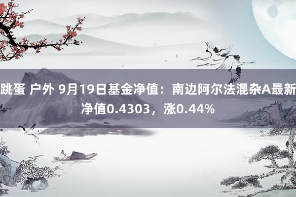 跳蛋 户外 9月19日基金净值：南边阿尔法混杂A最新净值0.4303，涨0.44%