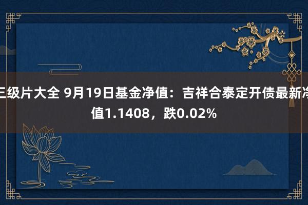 三级片大全 9月19日基金净值：吉祥合泰定开债最新净值1.1408，跌0.02%