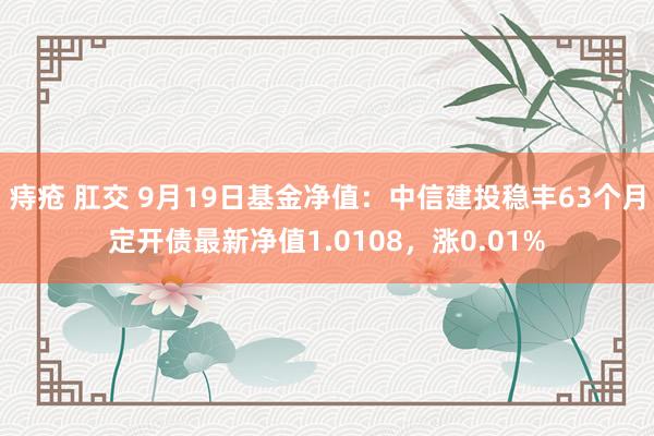 痔疮 肛交 9月19日基金净值：中信建投稳丰63个月定开债最新净值1.0108，涨0.01%