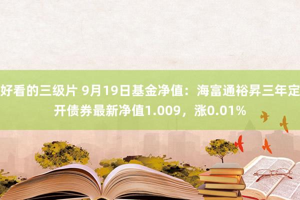 好看的三级片 9月19日基金净值：海富通裕昇三年定开债券最新净值1.009，涨0.01%