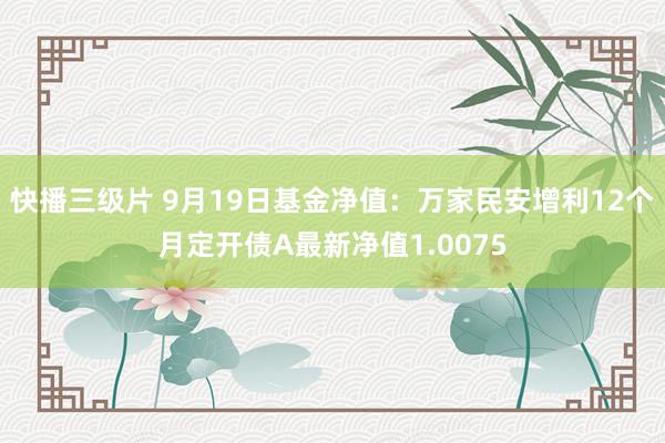 快播三级片 9月19日基金净值：万家民安增利12个月定开债A最新净值1.0075