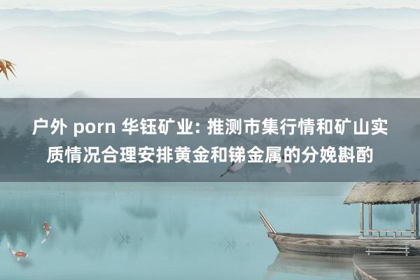 户外 porn 华钰矿业: 推测市集行情和矿山实质情况合理安排黄金和锑金属的分娩斟酌