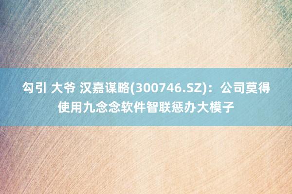 勾引 大爷 汉嘉谋略(300746.SZ)：公司莫得使用九念念软件智联惩办大模子