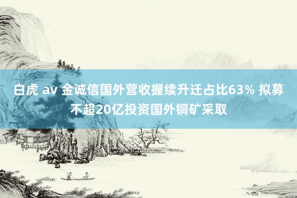 白虎 av 金诚信国外营收握续升迁占比63% 拟募不超20亿投资国外铜矿采取