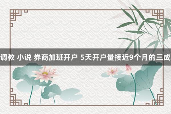 调教 小说 券商加班开户 5天开户量接近9个月的三成