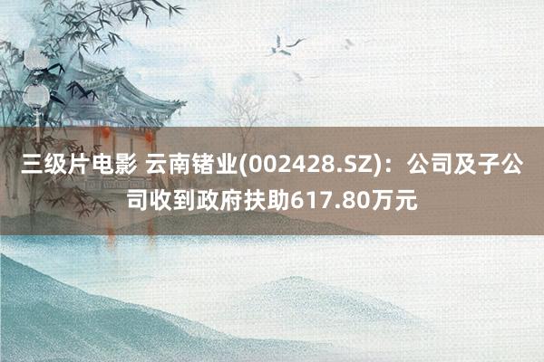 三级片电影 云南锗业(002428.SZ)：公司及子公司收到政府扶助617.80万元