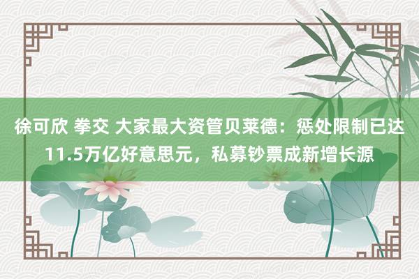 徐可欣 拳交 大家最大资管贝莱德：惩处限制已达11.5万亿好意思元，私募钞票成新增长源