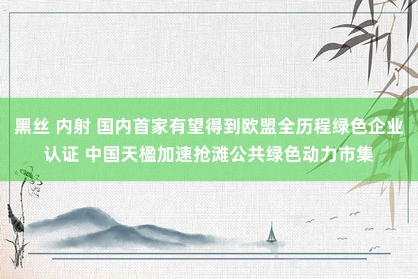 黑丝 内射 国内首家有望得到欧盟全历程绿色企业认证 中国天楹加速抢滩公共绿色动力市集