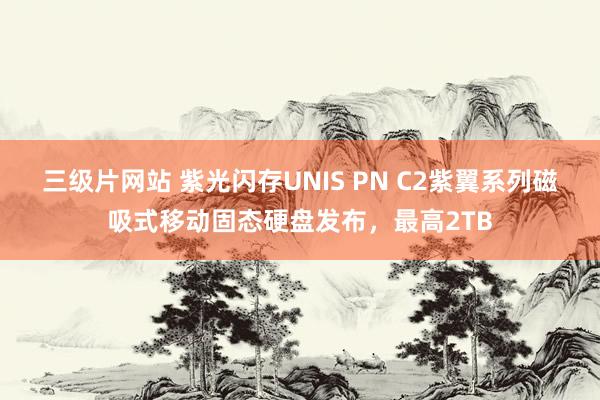 三级片网站 紫光闪存UNIS PN C2紫翼系列磁吸式移动固态硬盘发布，最高2TB