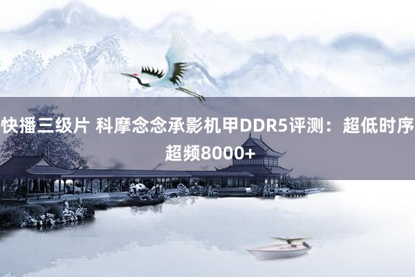 快播三级片 科摩念念承影机甲DDR5评测：超低时序 超频8000+