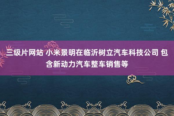 三级片网站 小米景明在临沂树立汽车科技公司 包含新动力汽车整车销售等