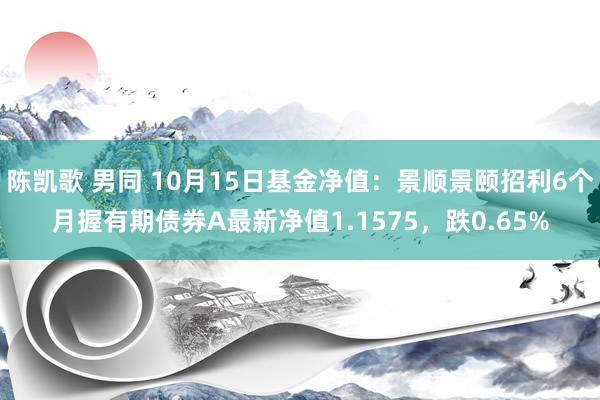 陈凯歌 男同 10月15日基金净值：景顺景颐招利6个月握有期债券A最新净值1.1575，跌0.65%