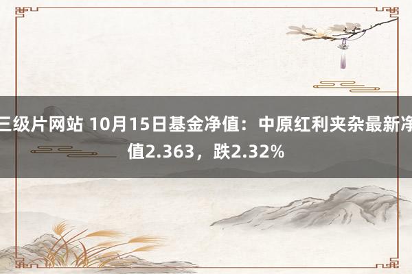 三级片网站 10月15日基金净值：中原红利夹杂最新净值2.363，跌2.32%