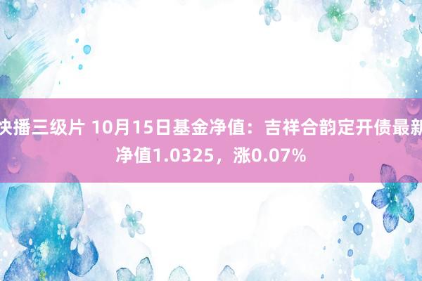 快播三级片 10月15日基金净值：吉祥合韵定开债最新净值1.0325，涨0.07%