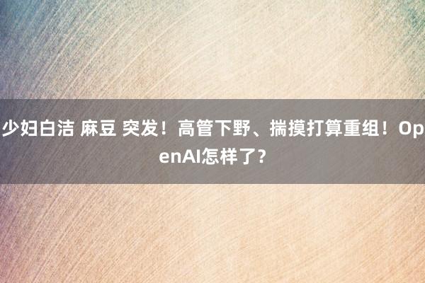 少妇白洁 麻豆 突发！高管下野、揣摸打算重组！OpenAI怎样了？