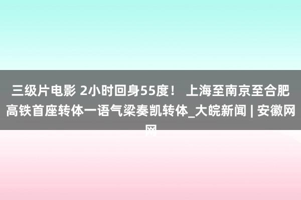 三级片电影 2小时回身55度！ 上海至南京至合肥高铁首座转体一语气梁奏凯转体_大皖新闻 | 安徽网