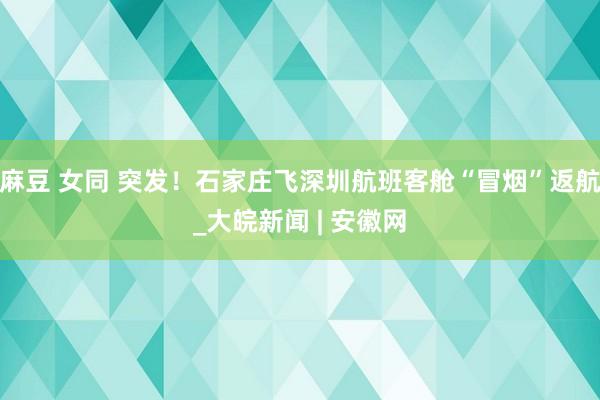 麻豆 女同 突发！石家庄飞深圳航班客舱“冒烟”返航_大皖新闻 | 安徽网