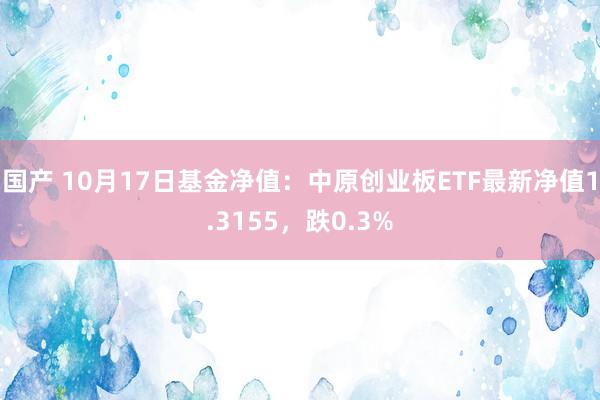 国产 10月17日基金净值：中原创业板ETF最新净值1.3155，跌0.3%