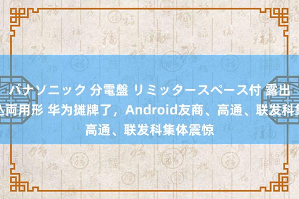 パナソニック 分電盤 リミッタースペース付 露出・半埋込両用形 华为摊牌了，Android友商、高通、联发科集体震惊