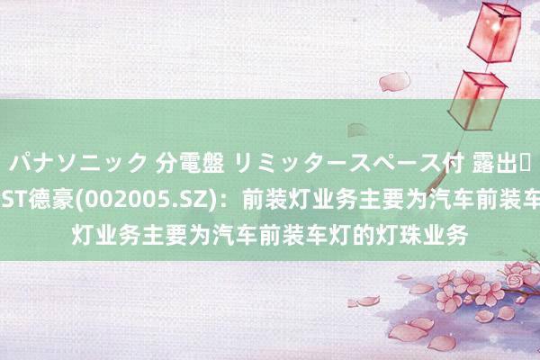 パナソニック 分電盤 リミッタースペース付 露出・半埋込両用形 ST德豪(002005.SZ)：前装灯业务主要为汽车前装车灯的灯珠业务