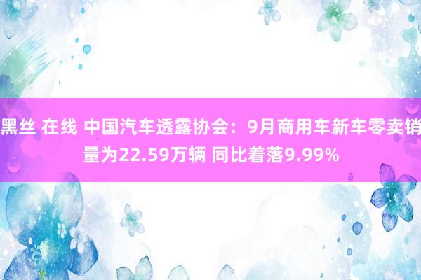 黑丝 在线 中国汽车透露协会：9月商用车新车零卖销量为22.59万辆 同比着落9.99%