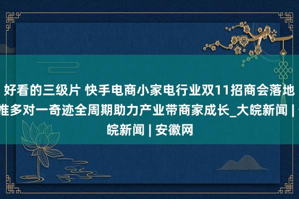 好看的三级片 快手电商小家电行业双11招商会落地合肥  推多对一奇迹全周期助力产业带商家成长_大皖新闻 | 安徽网