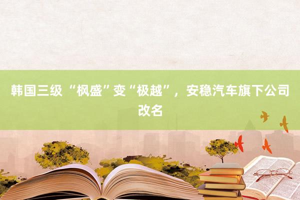 韩国三级 “枫盛”变“极越”，安稳汽车旗下公司改名