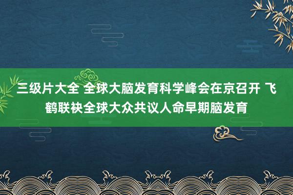 三级片大全 全球大脑发育科学峰会在京召开 飞鹤联袂全球大众共议人命早期脑发育