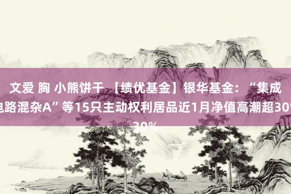 文爱 胸 小熊饼干 【绩优基金】银华基金：“集成电路混杂A”等15只主动权利居品近1月净值高潮超30%