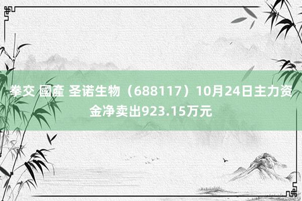 拳交 國產 圣诺生物（688117）10月24日主力资金净卖出923.15万元